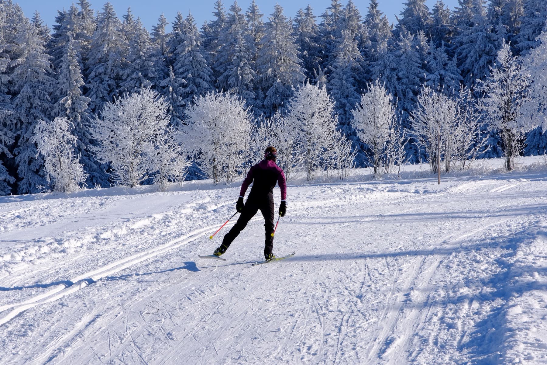 A skate skier in blue climbing a foggy groomed trail