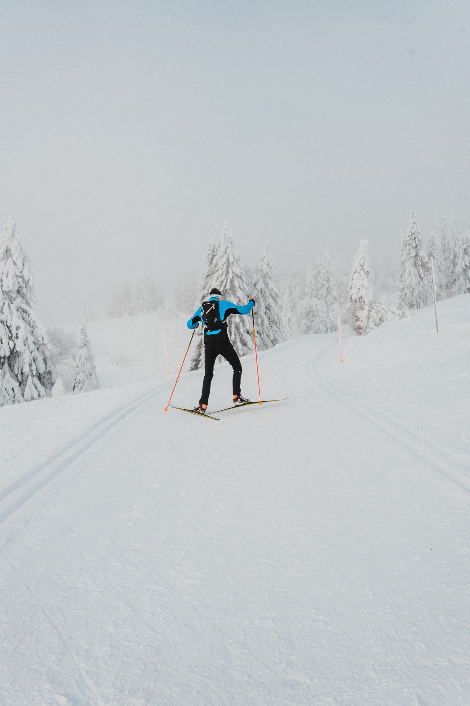 A skate skier in a purple jacket gliding past frost-covered trees